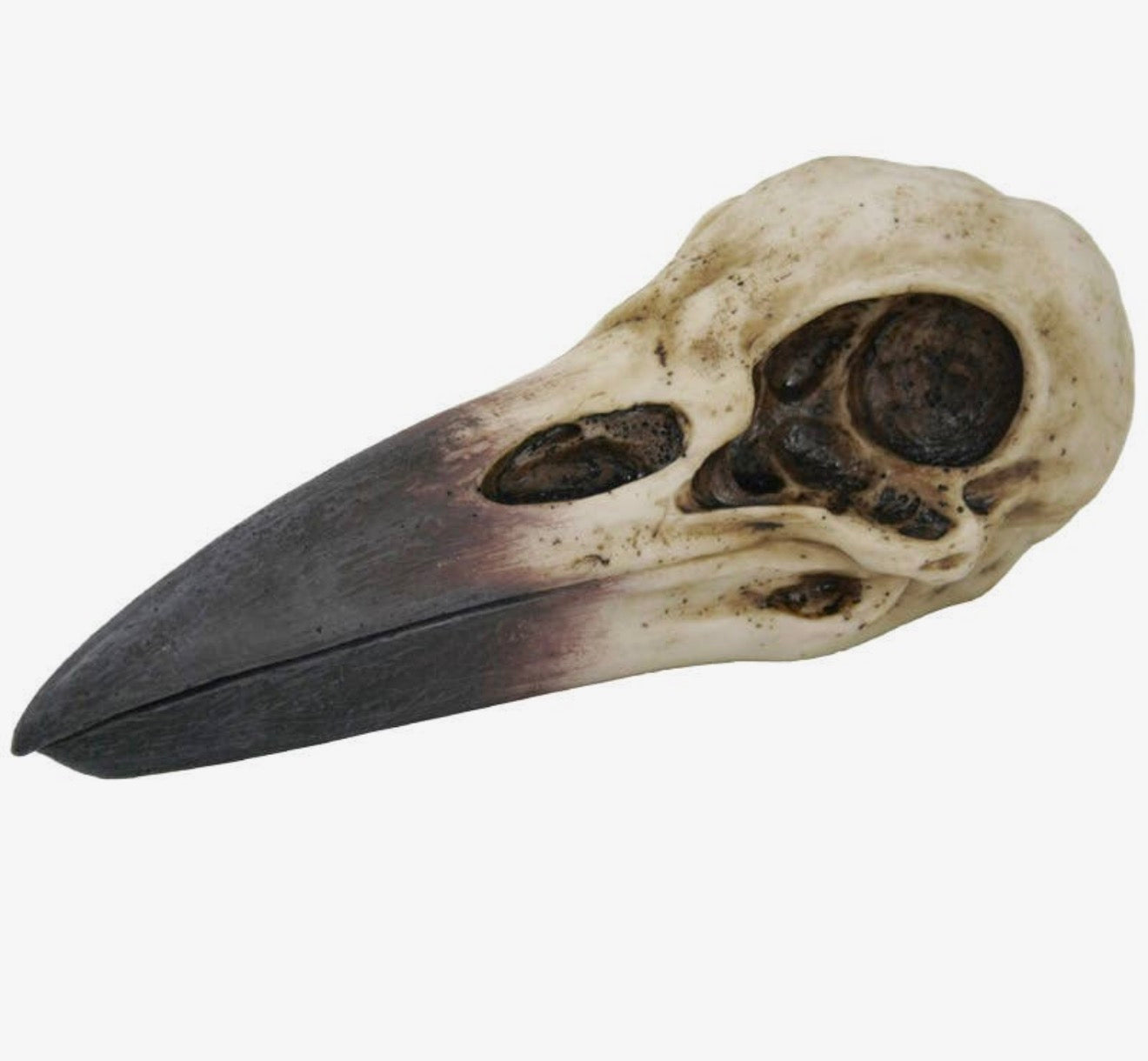 Raven Skull 🖤 Hidden Altar Keepsake